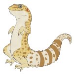 geckomugtemper.jpg