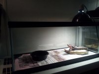 2013-11-20 11.58.34.jpg