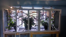 IMG_20140401_112356998_HDR[1].jpg