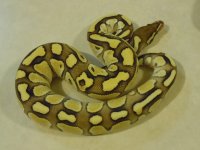 DSCN3512.jpg