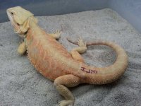 2013052795154545.jpg