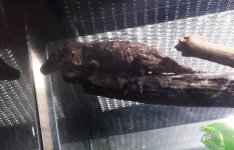 20140518_124016.jpg