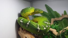 20140518_124239.jpg