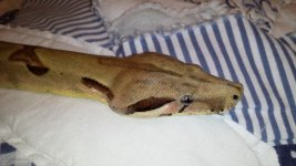20140314_235225.jpg