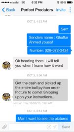 ppinvoice2.jpg