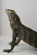 IMG_3900.jpg