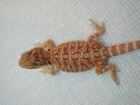 20140622_134316.jpg