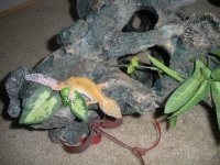 DSCN3916.jpg