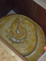 IMG_0098.jpg