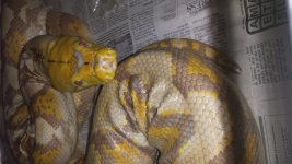 20140227_122317.jpg