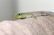 IMG_4271.jpg