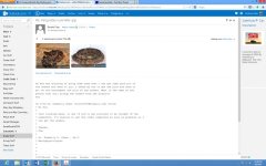 Screenshot (6).jpg