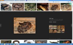 Screenshot (7).jpg