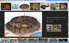 Screenshot (8).jpg