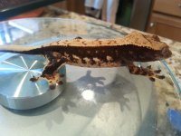 20140629_090631.jpg