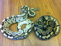 fire comparison.jpg