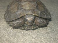 DSCN3924.jpg