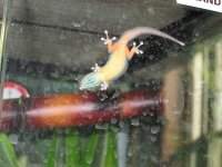 IMG_0871.jpg