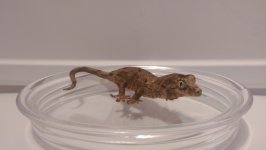 IMAG0260.jpg