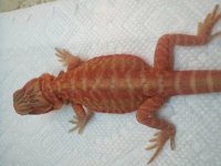 20140629_150848.jpg