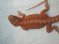 20140629_151047.jpg