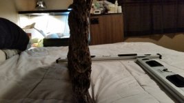 20140621_225720.jpg