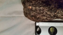 20140621_225609.jpg