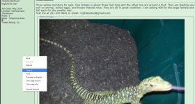 reptilestudcopy.jpg