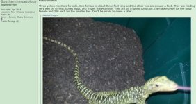reptilestudoriginal.jpg