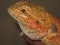 IMG_5185.JPG