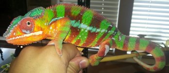 2013-06-29 12.00.59.jpg
