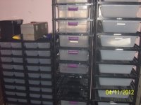 vision rack.jpg
