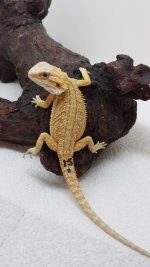 20140629_200829.jpg