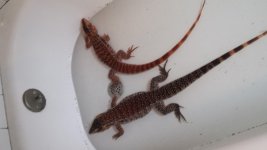 20140430_100435.jpg