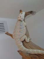 DSC01114.jpg