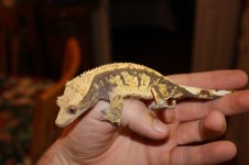 IMG_3637.jpg