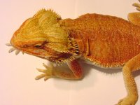 DSC00027.jpg