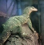 struthersmonitor.jpg