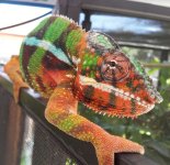 20130803_143445-1.jpg