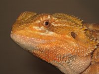 IMG_5107.JPG