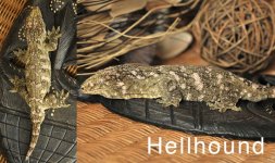 HellhoundApril.jpg