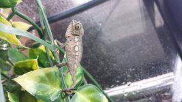 20140620_124145.jpg