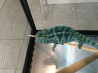 IMG_1611.jpg