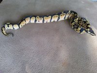20130918_103612.jpg