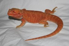 IMG_0752.JPG