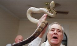 snakehandler.jpeg