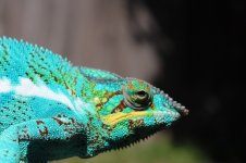 IMG_5093.jpg