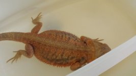 20130803_162332.jpg