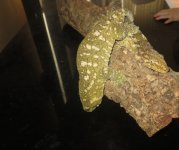 IMG_3224.jpg