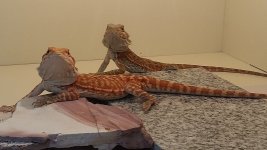 20140422_141403.jpg
